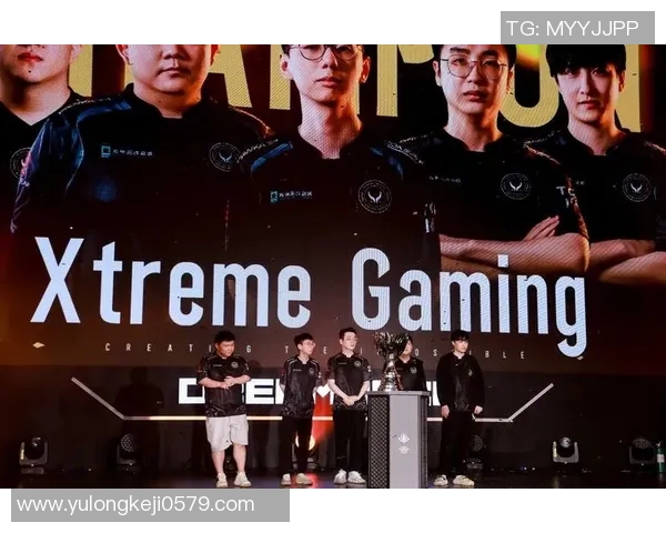 dota2职业杯是什么比赛-揭秘DOTA2职业杯，一场电竞盛宴的解析-dota2职业杯是什么比赛